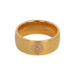 Gold Plated Ring