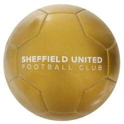 Metallic Gold Football -Elite Kit Co Store 3535