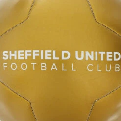 Metallic Gold Football -Elite Kit Co Store 3537