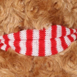 Big Paw Bear -Elite Kit Co Store 4036