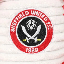 Dave The T-Rex Dino Toy