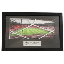 SUFC Goal Net Frame -Elite Kit Co Store 6648